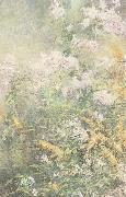 John Henry Twachtman Meadow Flowers Norge oil painting reproduction